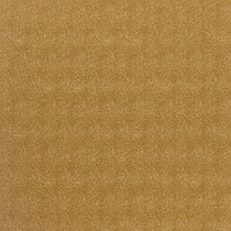 Amur 36 Sunglow