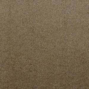 Ancolie 3602 04 05