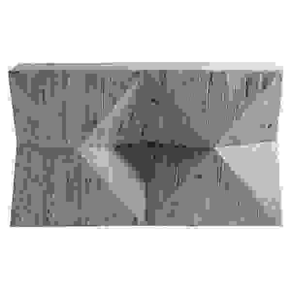 Braque CONS0090
