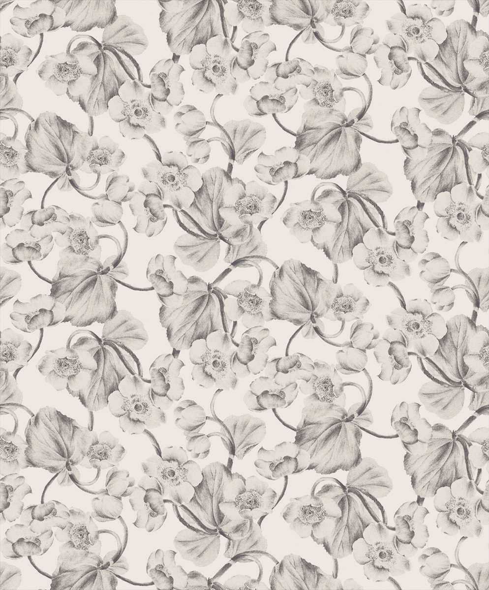 Anemone KEN301
