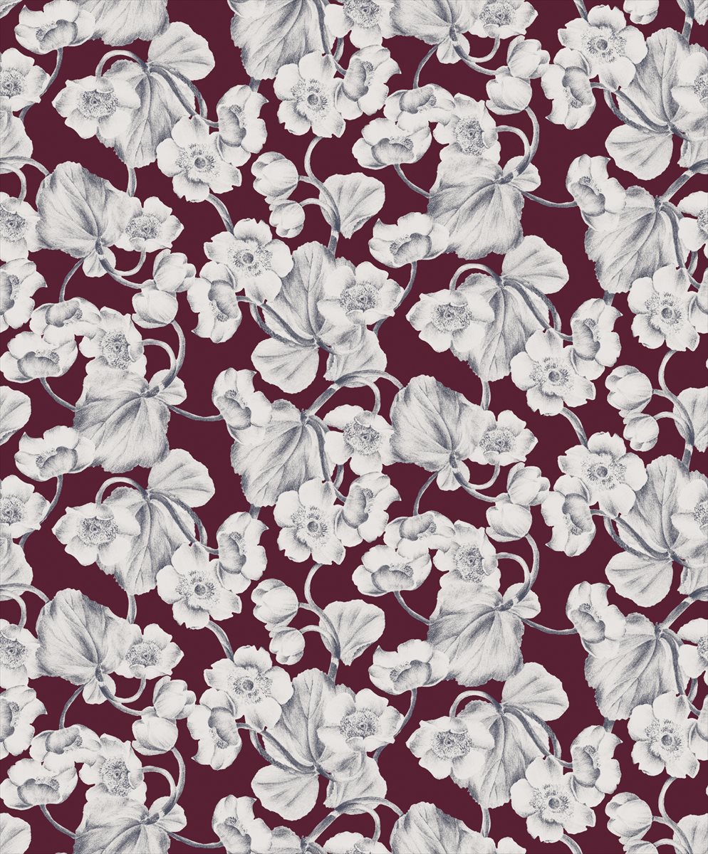 Anemone KEN302