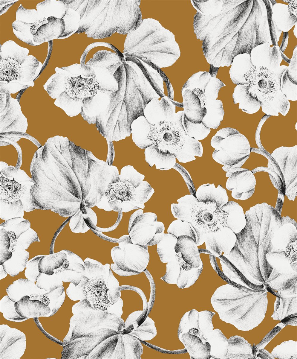 Anemone KEN303