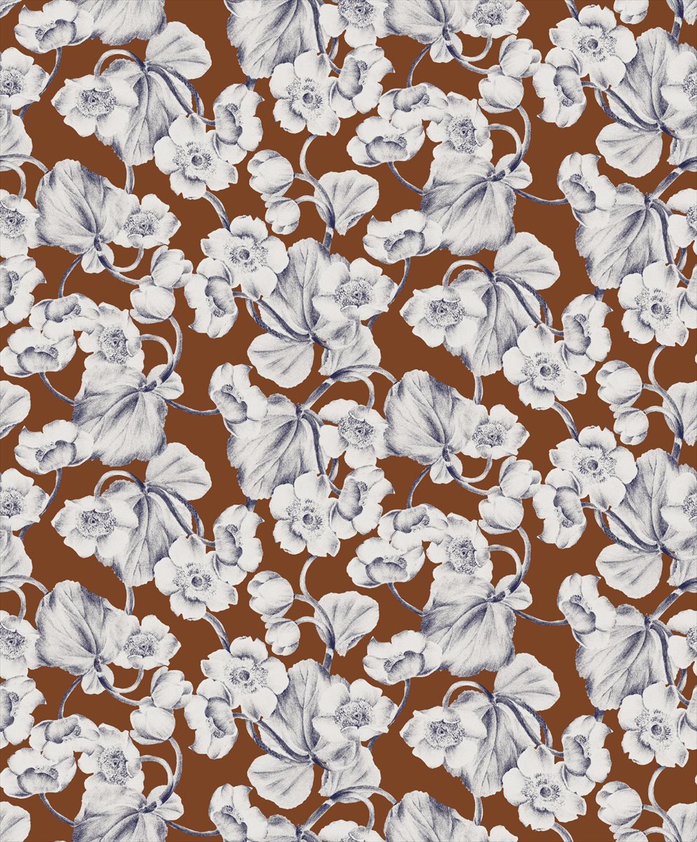 Anemone KEN304