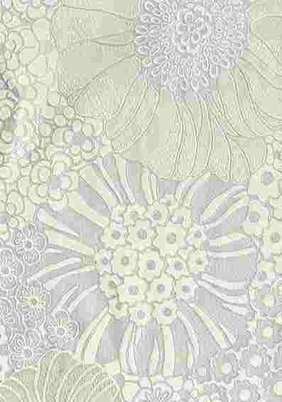 Anemones 10005