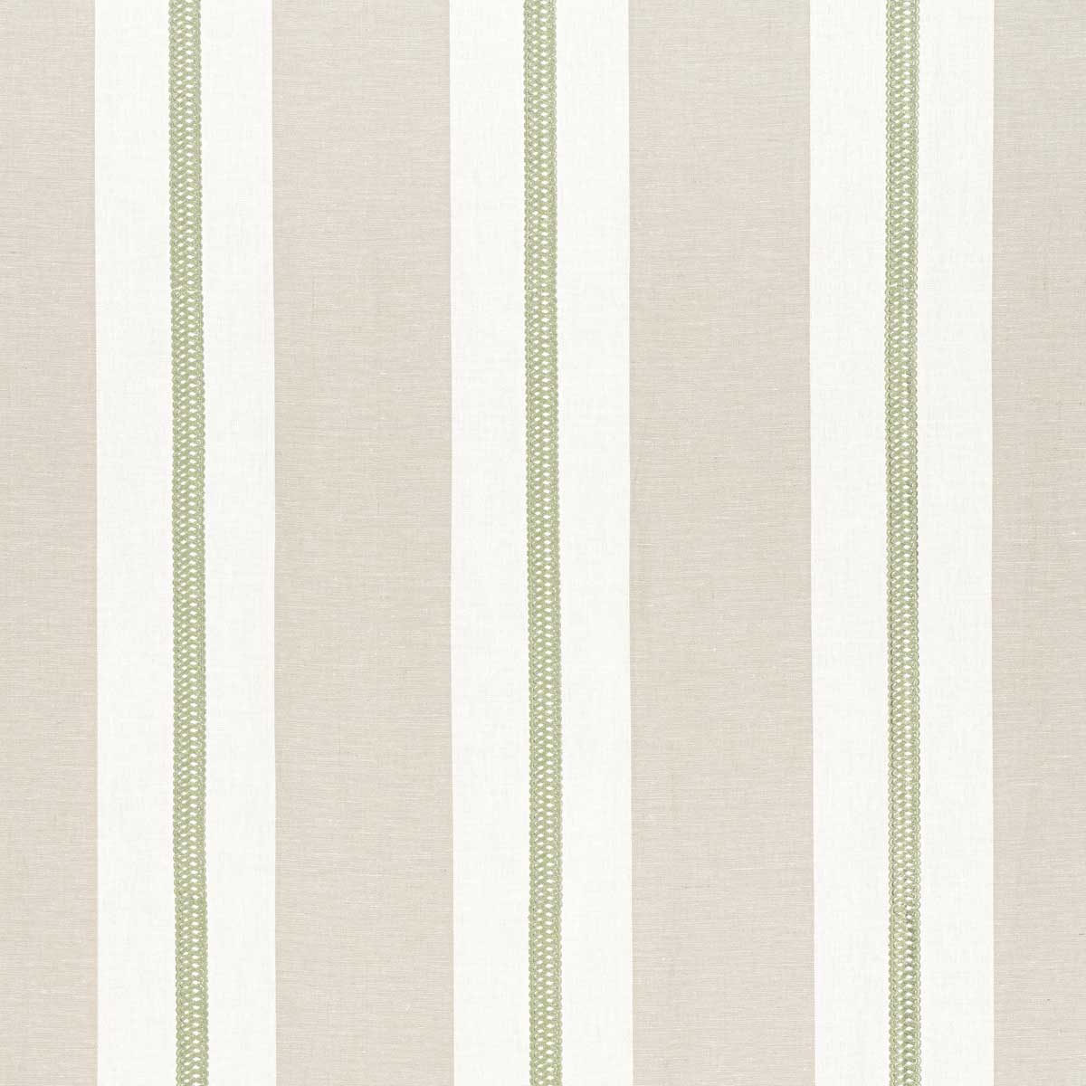Alden Stripe Embroidery AW24532