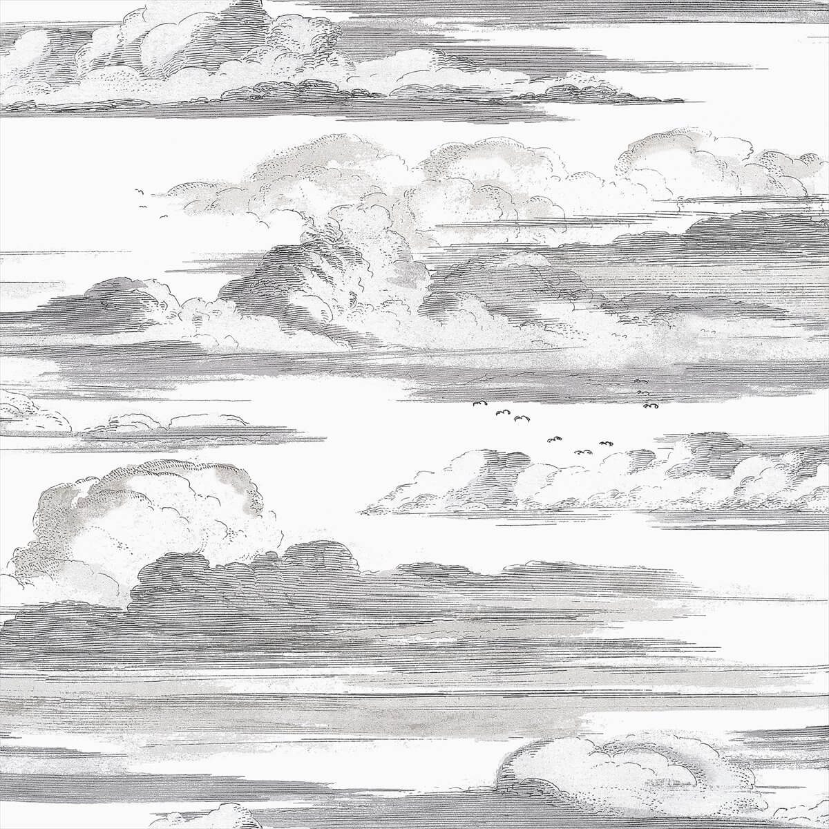Cielo AT57872