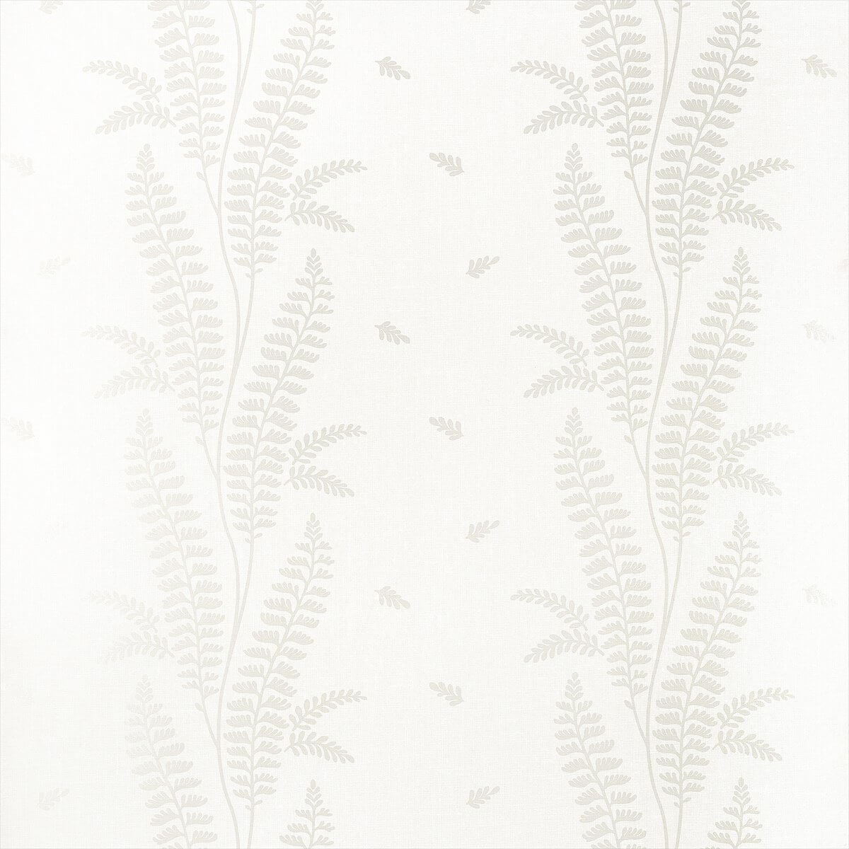 Ensbury Fern AT57885