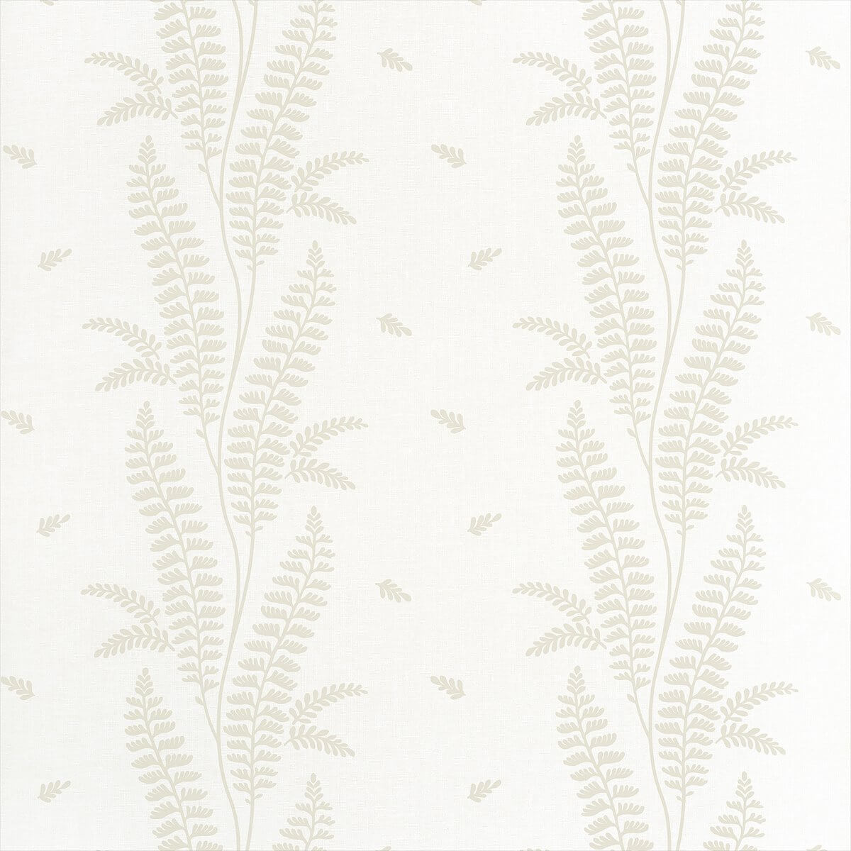 Ensbury Fern AT57886