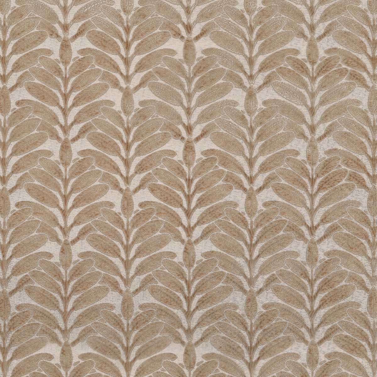 Linden Velvet AW9202