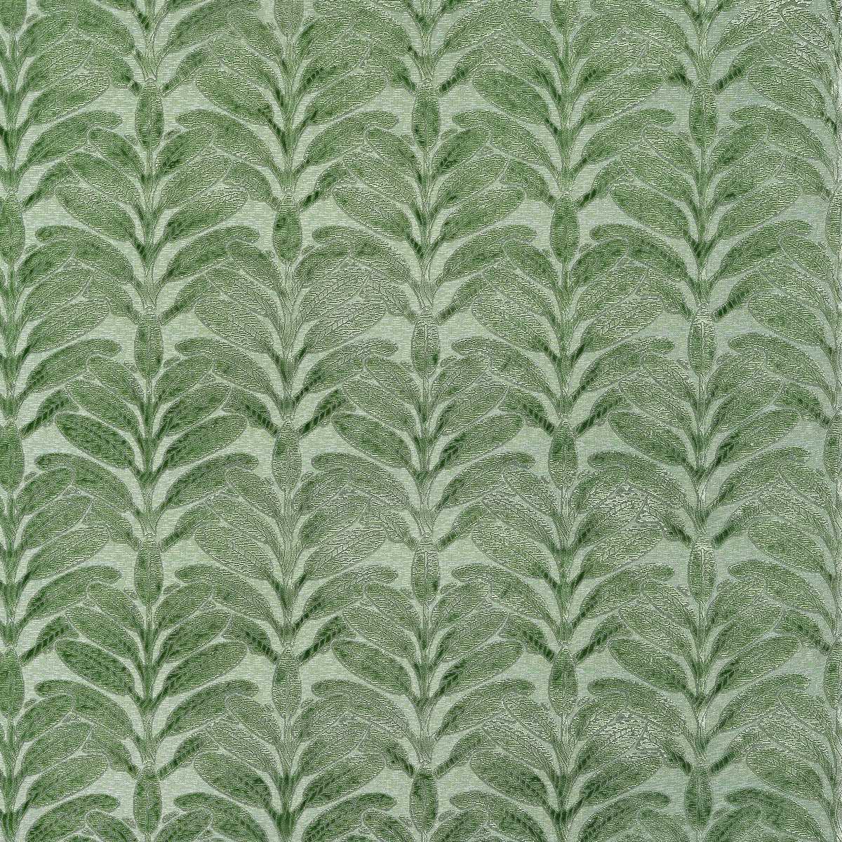 Linden Velvet AW9204