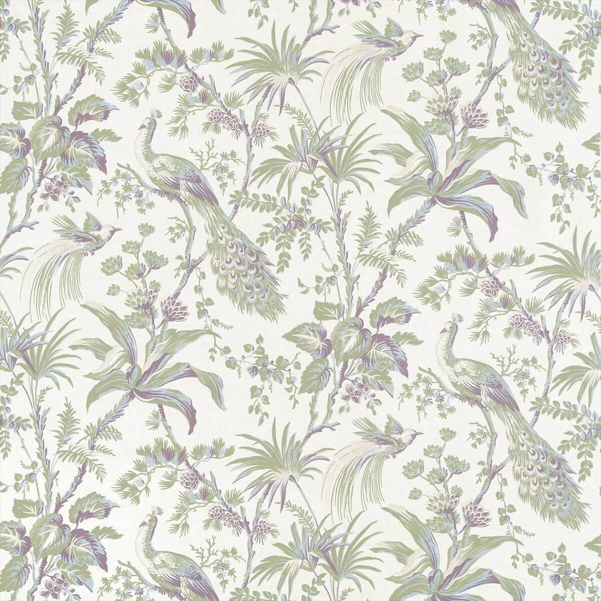 Peacock Toile AF57829
