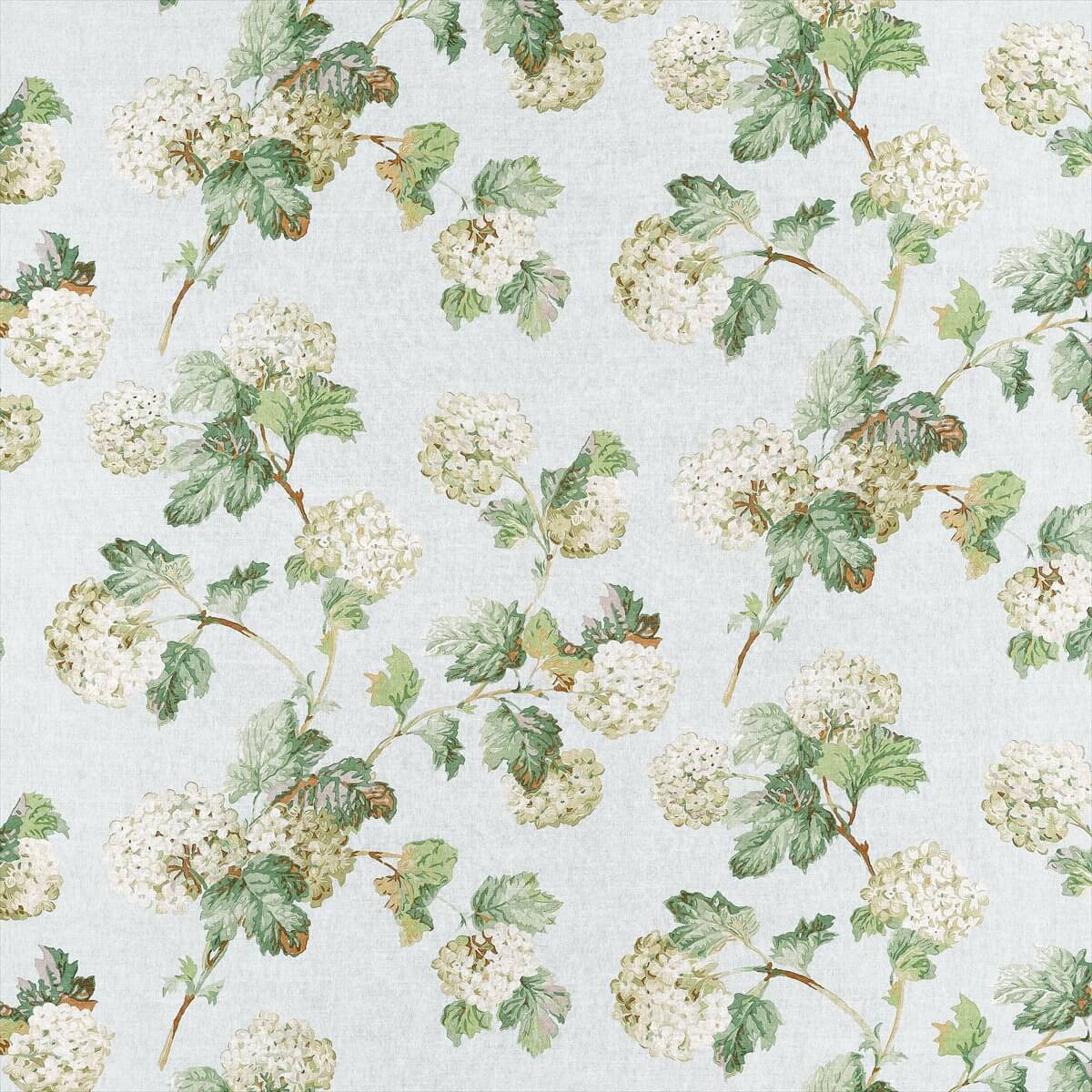 Sussex Hydrangea AF57845
