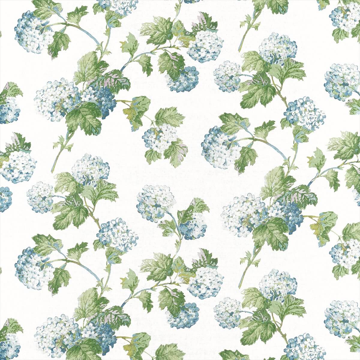 Sussex Hydrangea AF57846