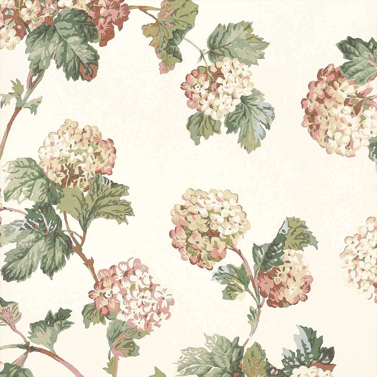 Sussex Hydrangea AT57848