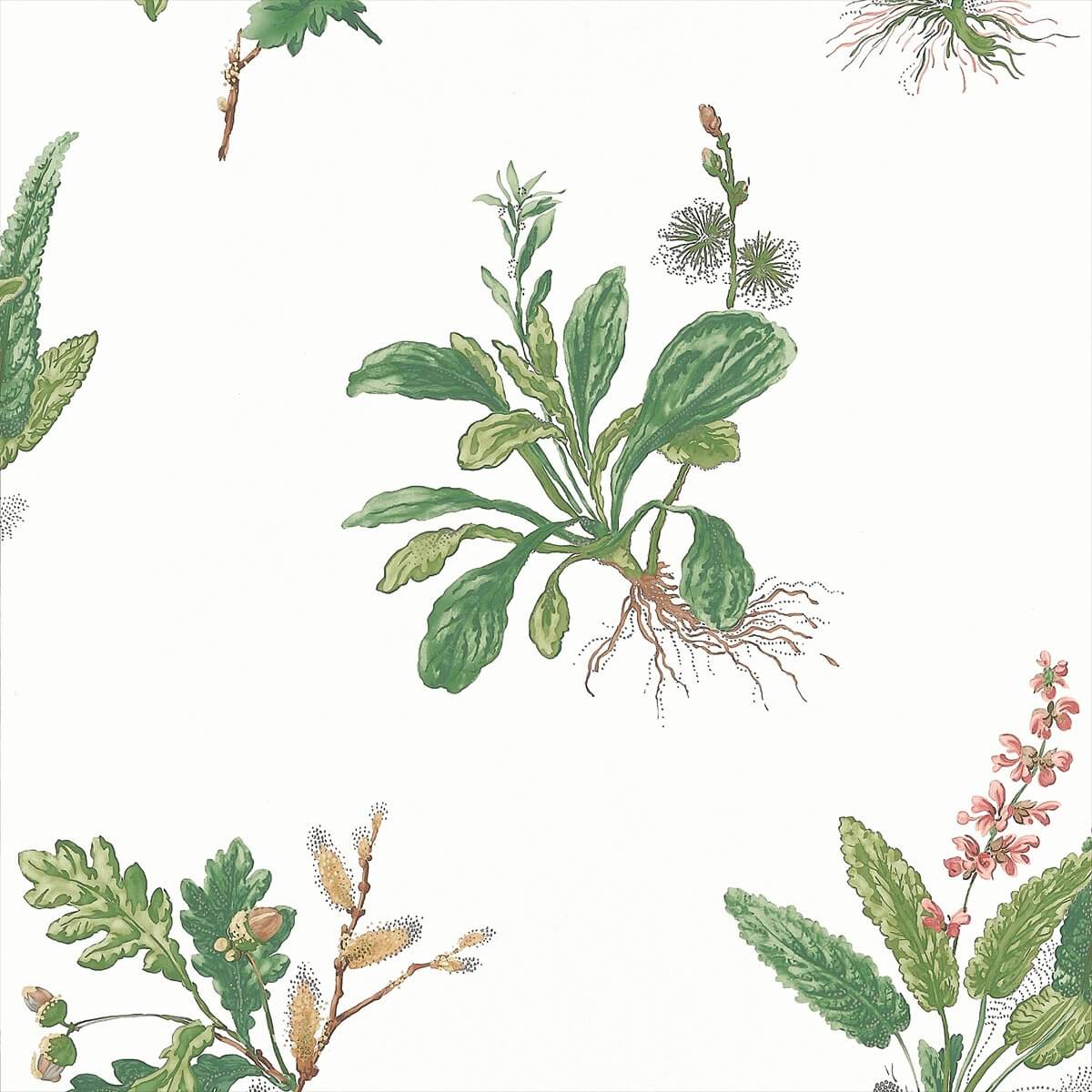 Woodland AT57852