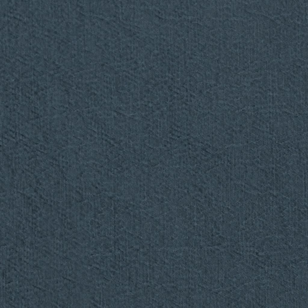 Anshu FDG2896-09