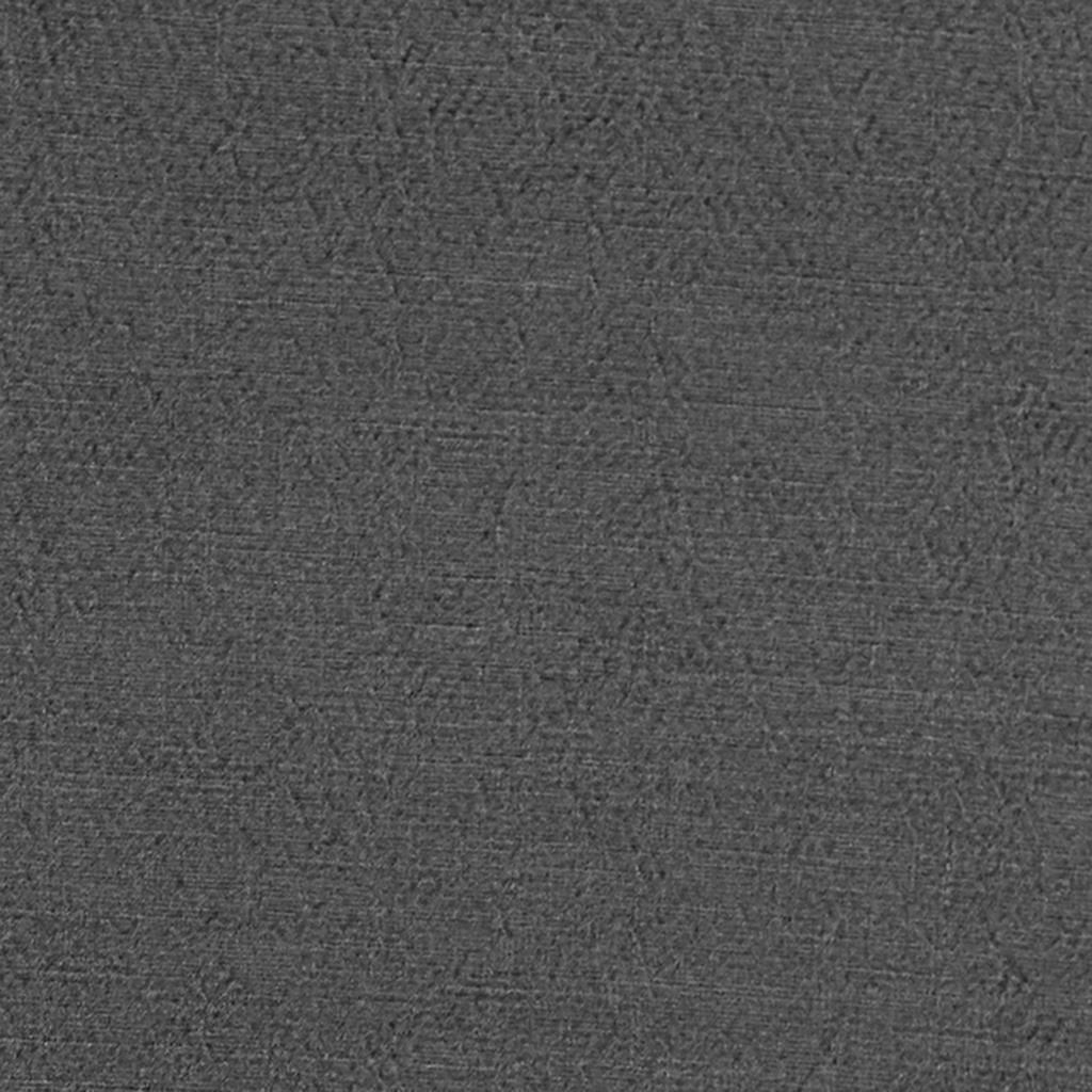 Anshu FDG2896-12