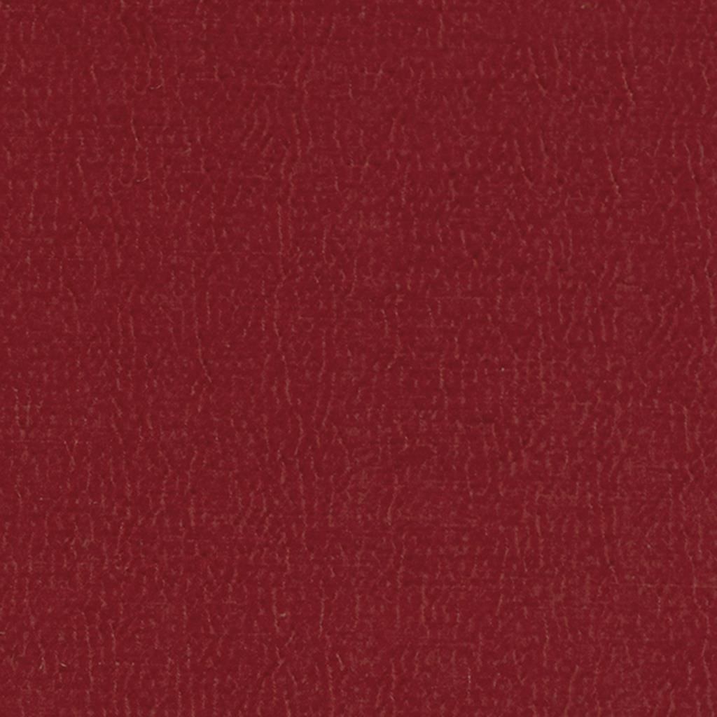 Anshu FDG2896-35
