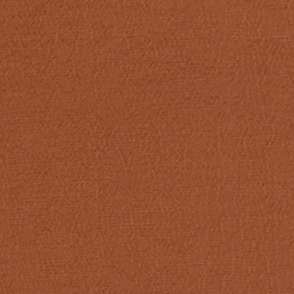Anshu FDG2896-36