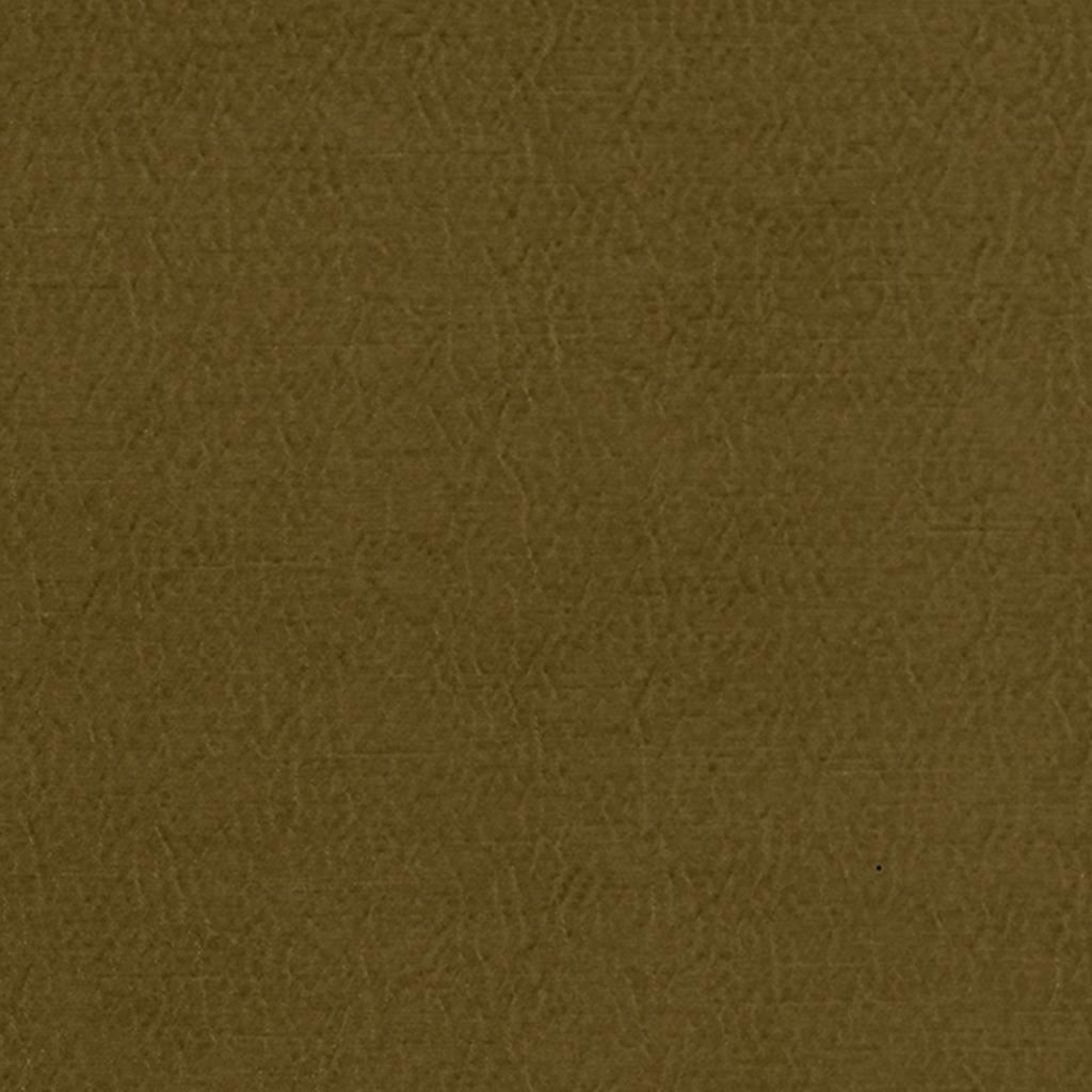 Anshu FDG2896-39
