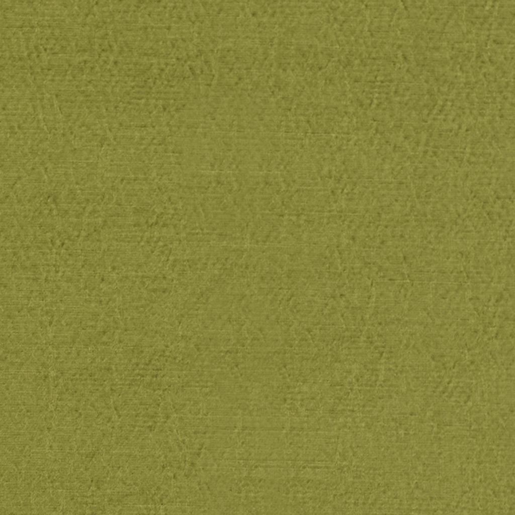 Anshu FDG2896-41