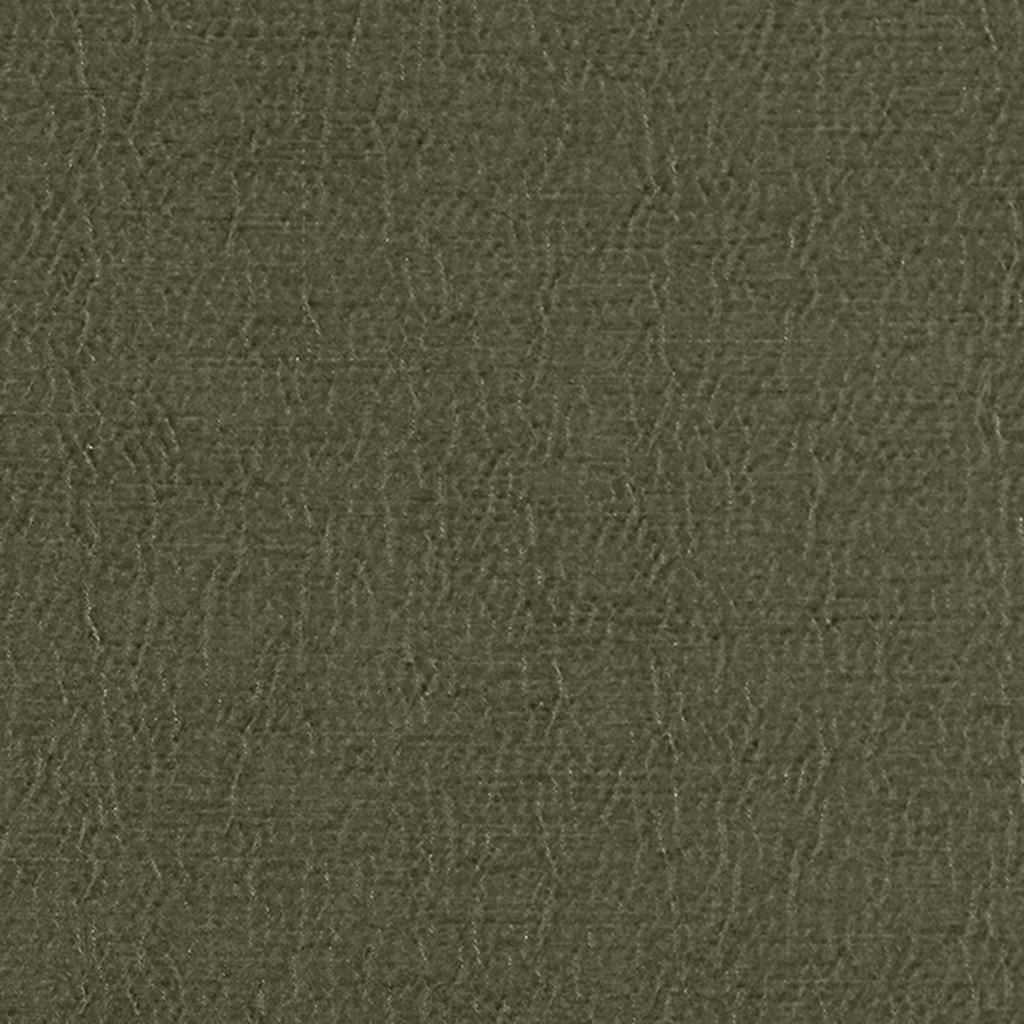 Anshu FDG2896-43