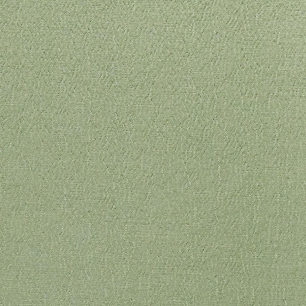 Anshu FDG2896-44