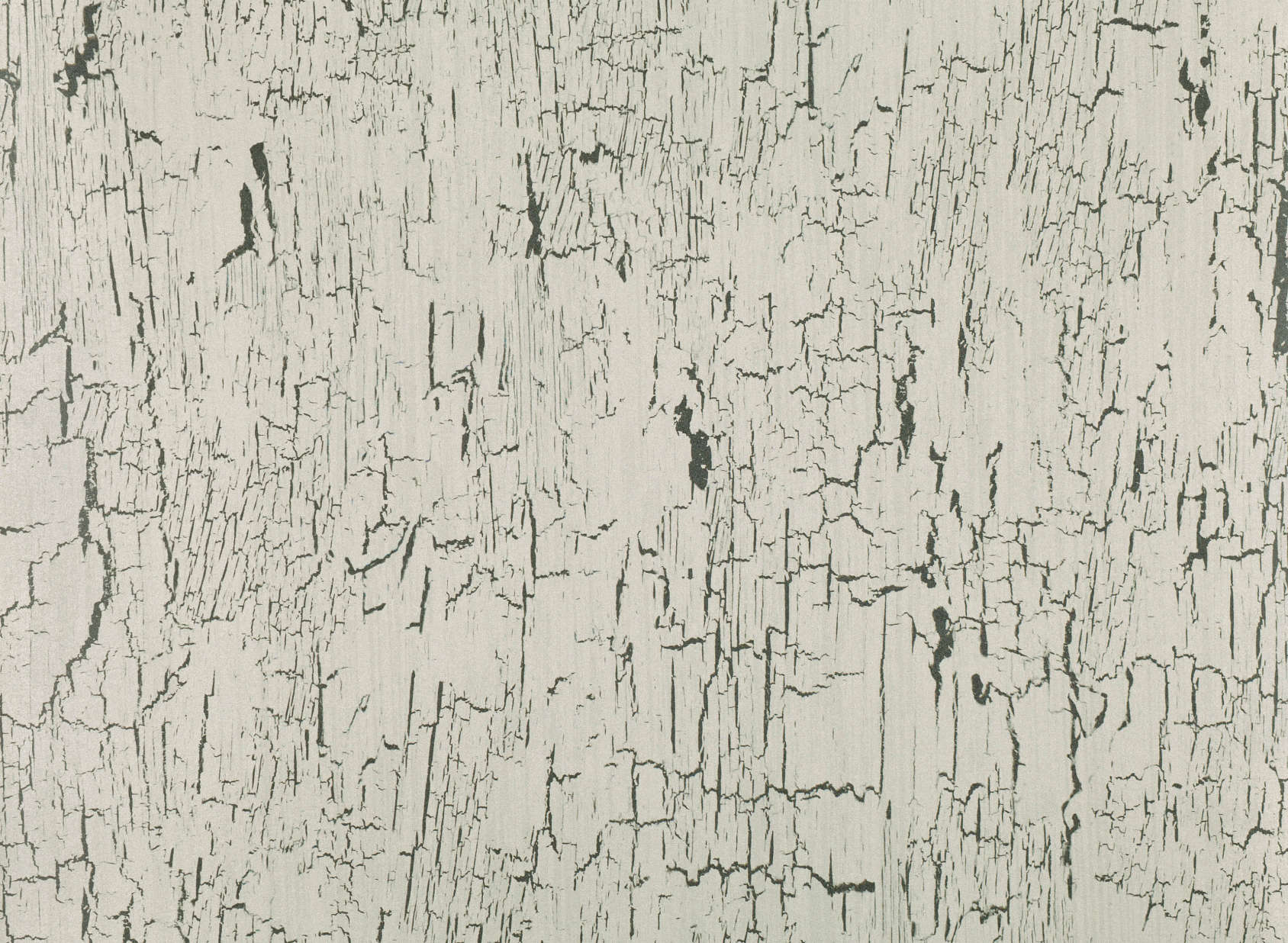 Antica Quartz W907-04