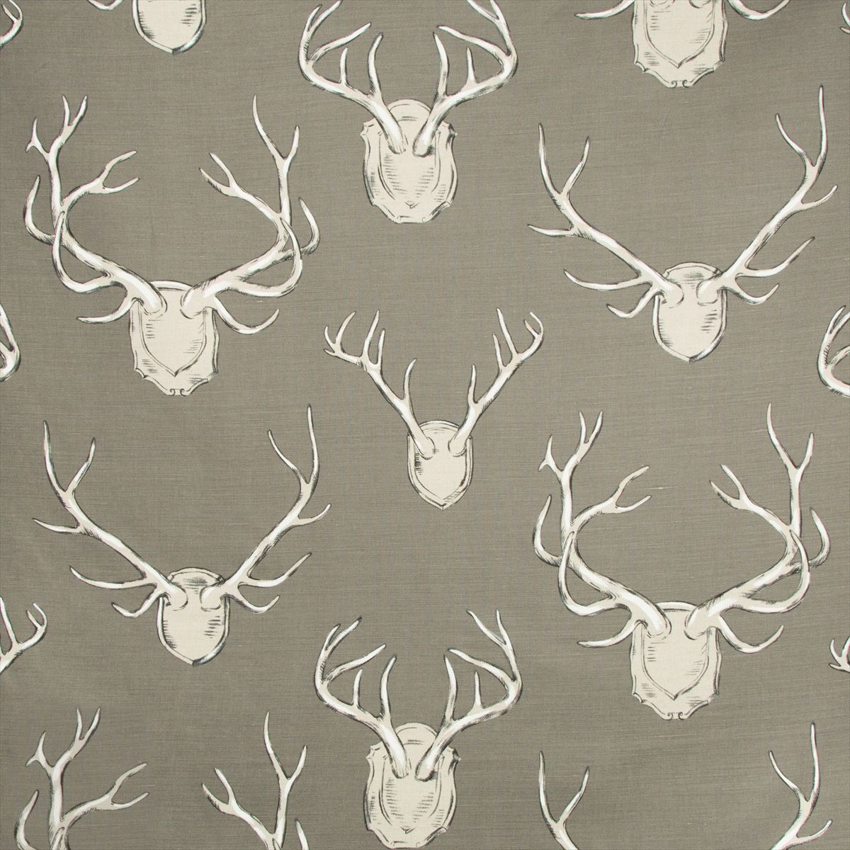 Antlers 2009143-11