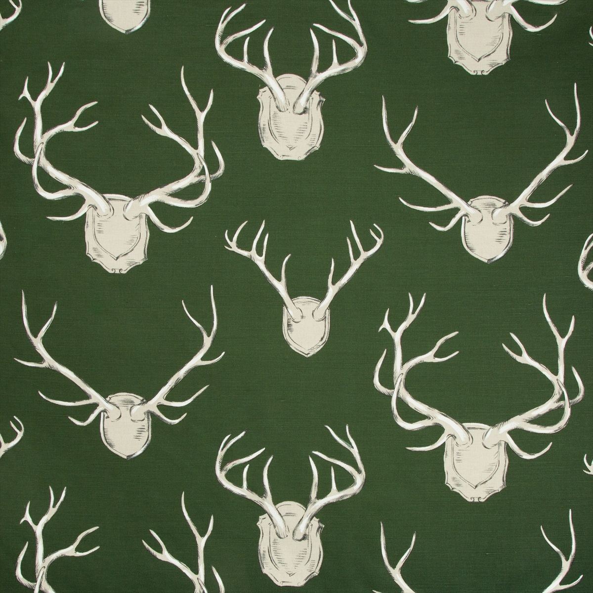 Antlers 2009143-3