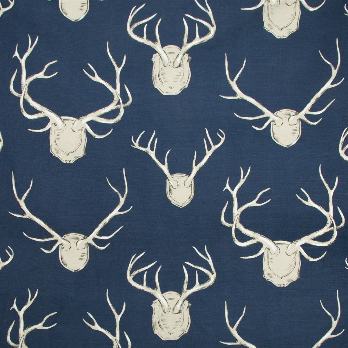 Antlers 2009143-50
