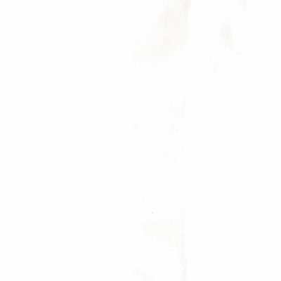 Antoinette 10047-010