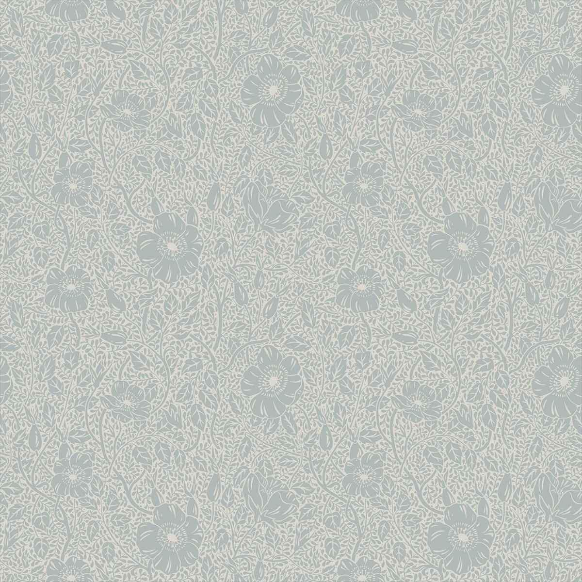 Anton 814-56