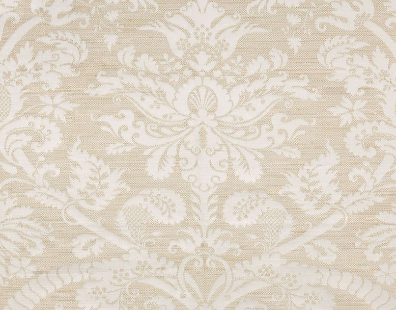 Apollon Damas F2261002