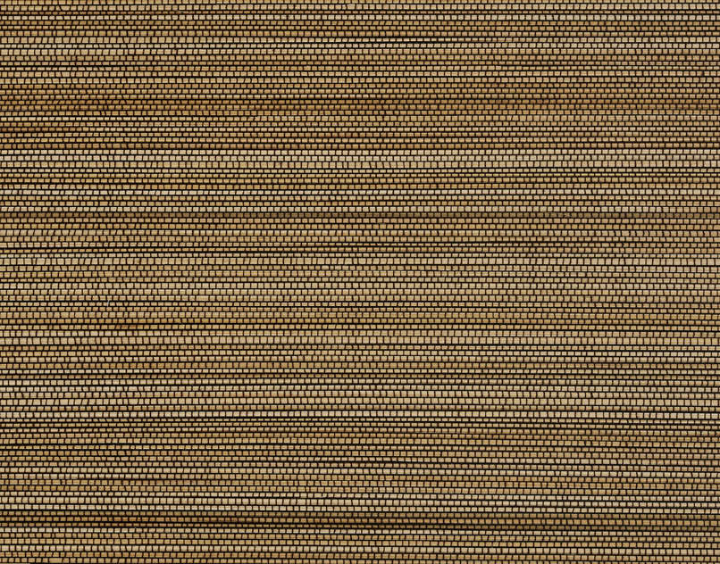 Aquila FP386001