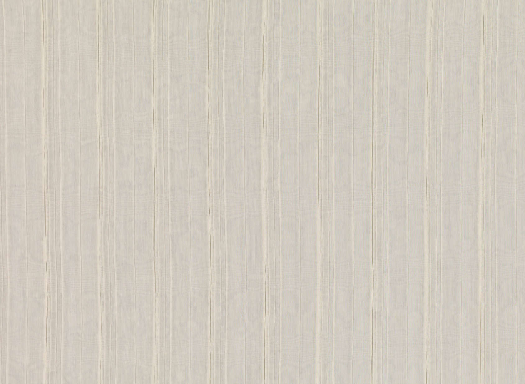 Aralia Birch V3373-02