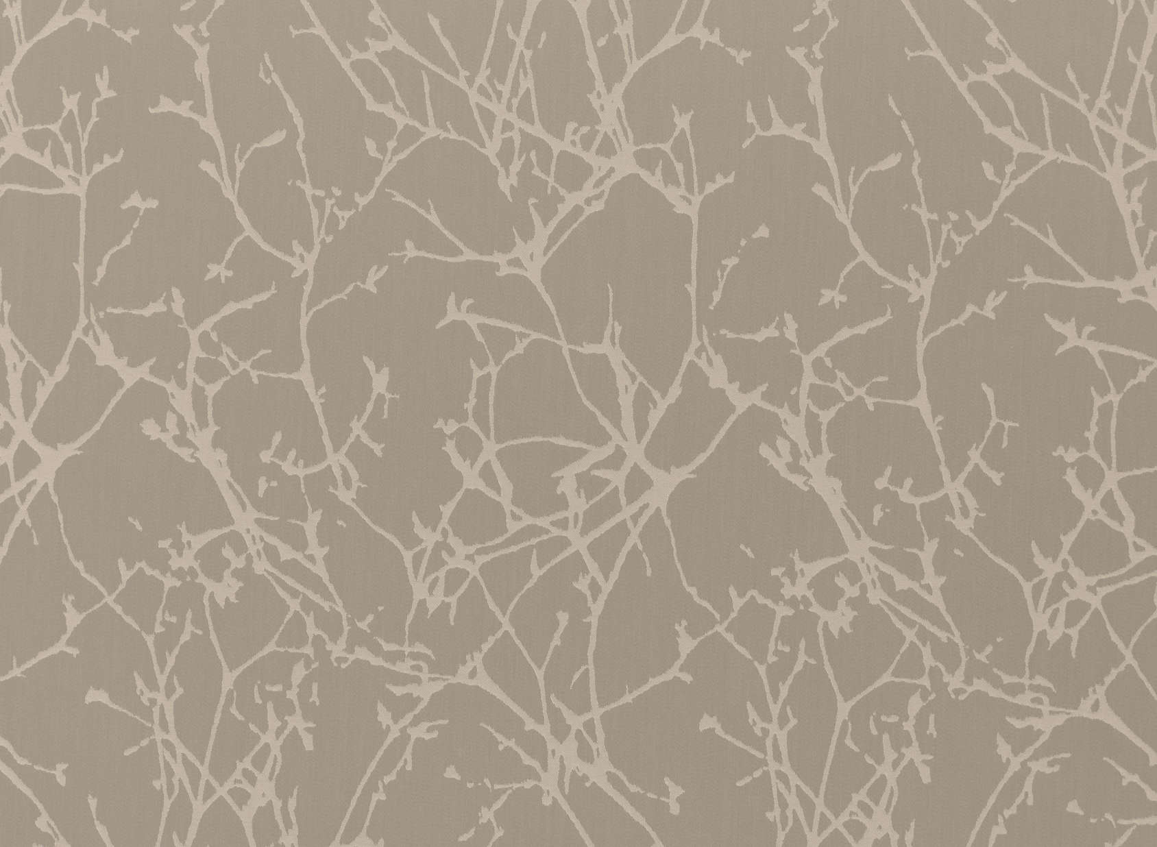 Arbor Doeskin 7730-08