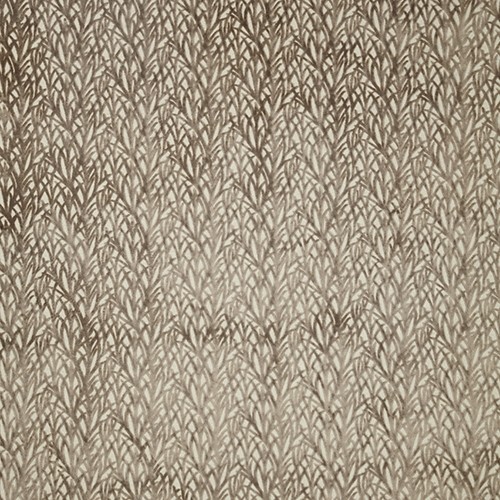 Arboretum Taupe