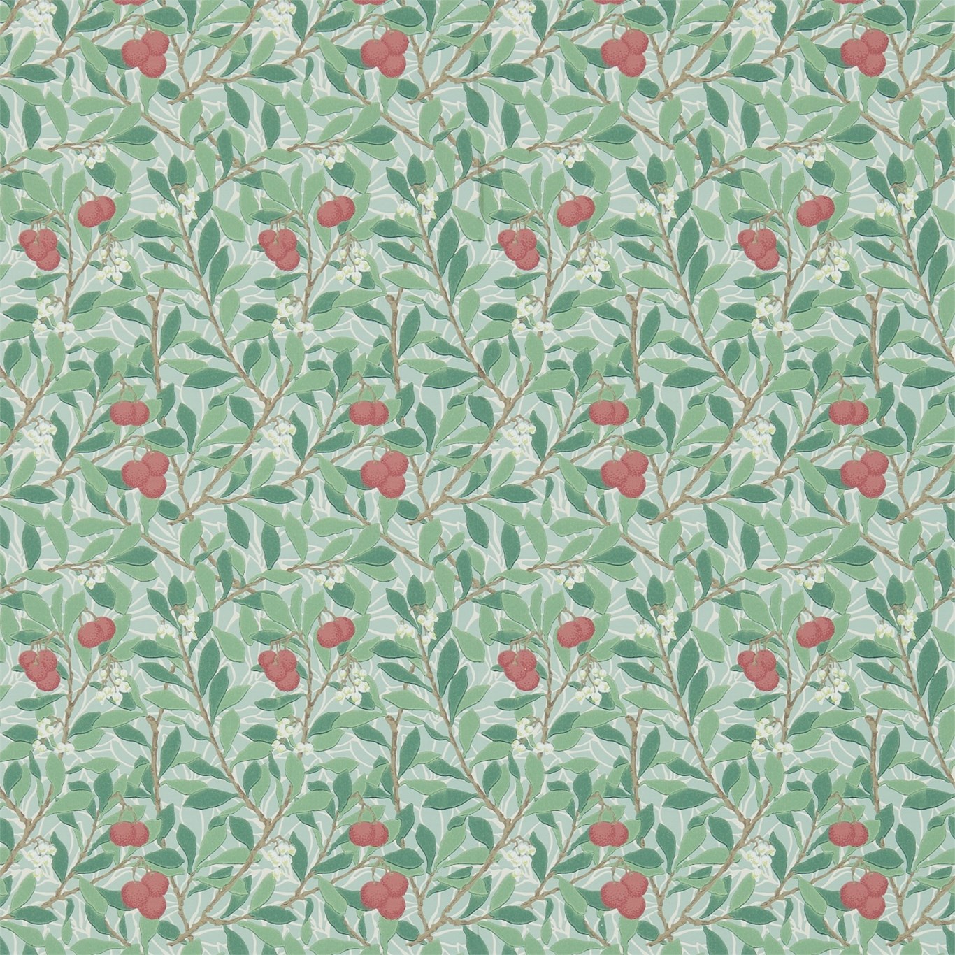 Arbutus 214719