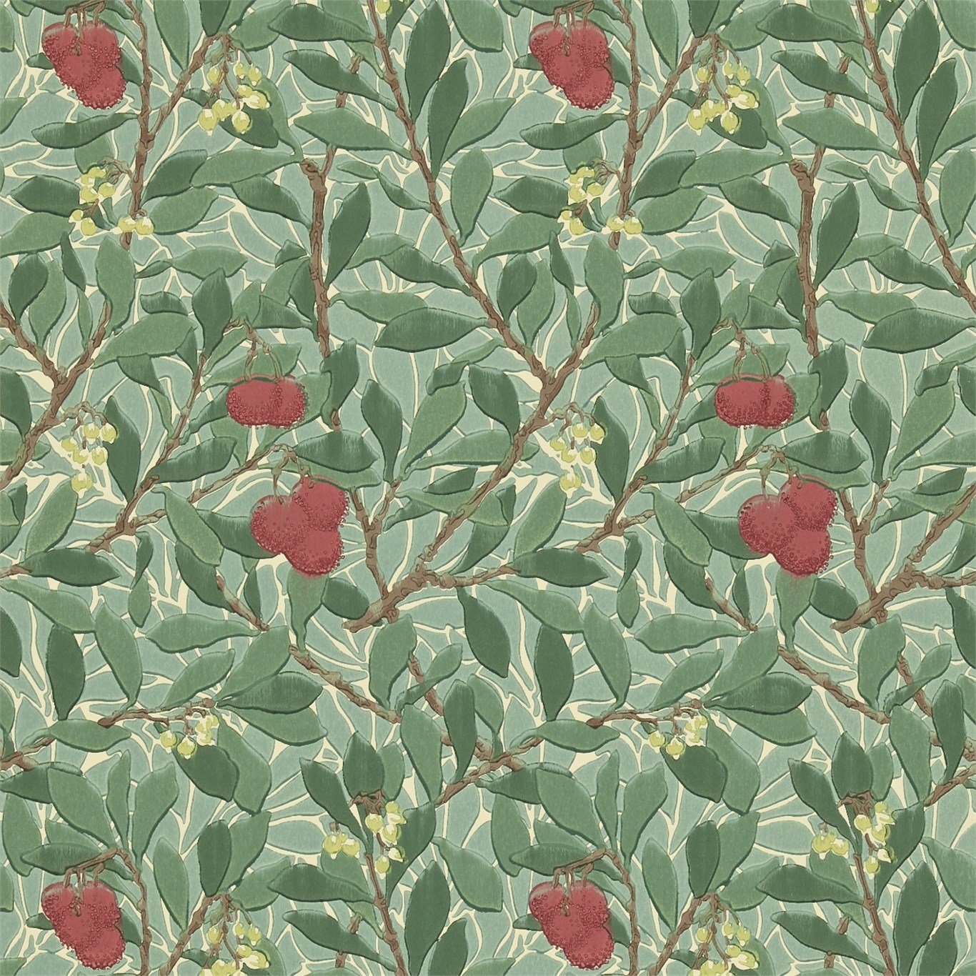 Arbutus 210406