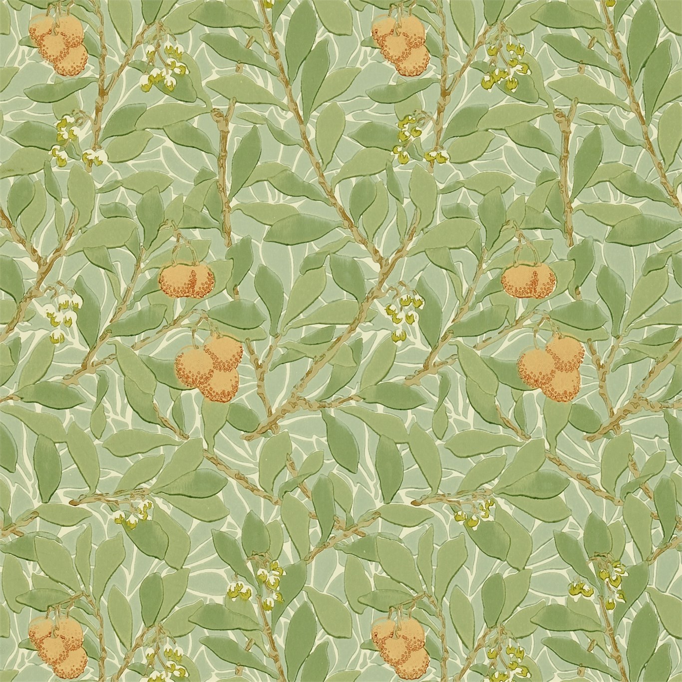 Arbutus DMCW210408