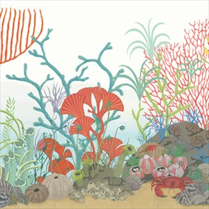 Archipelago Border 103-12054