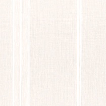 Arctic Winter White