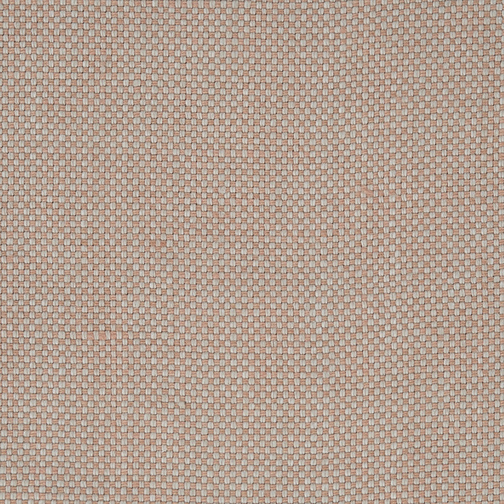 Arid 10307-006