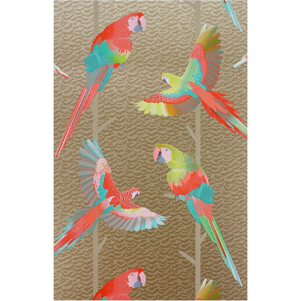 Arini W6806-04