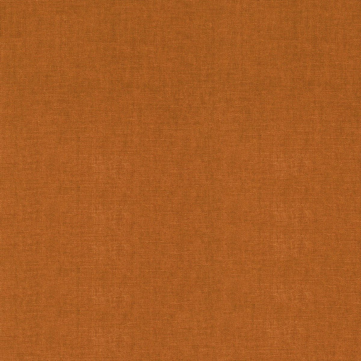 Arizona 252 10 22