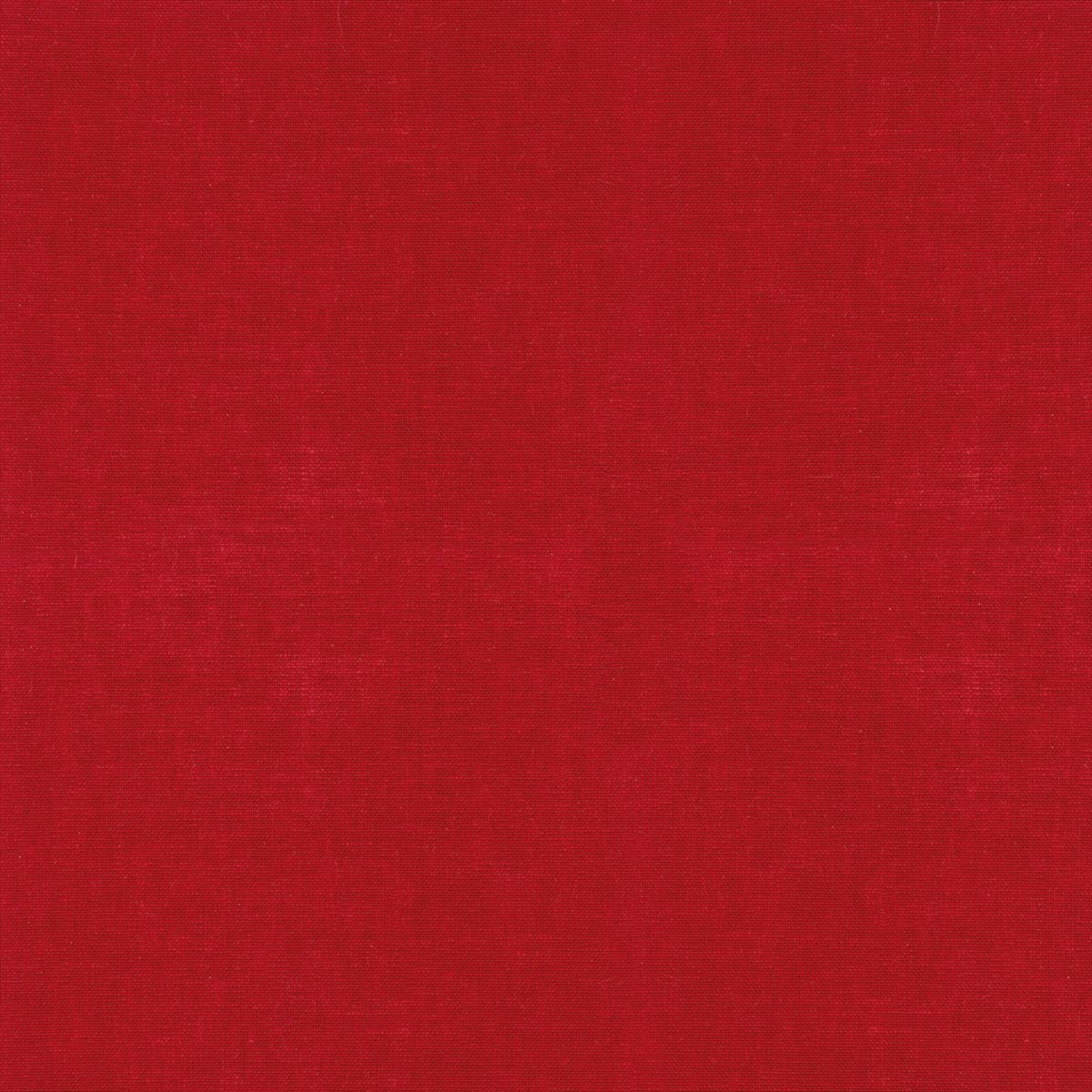 Arizona 252 12 89