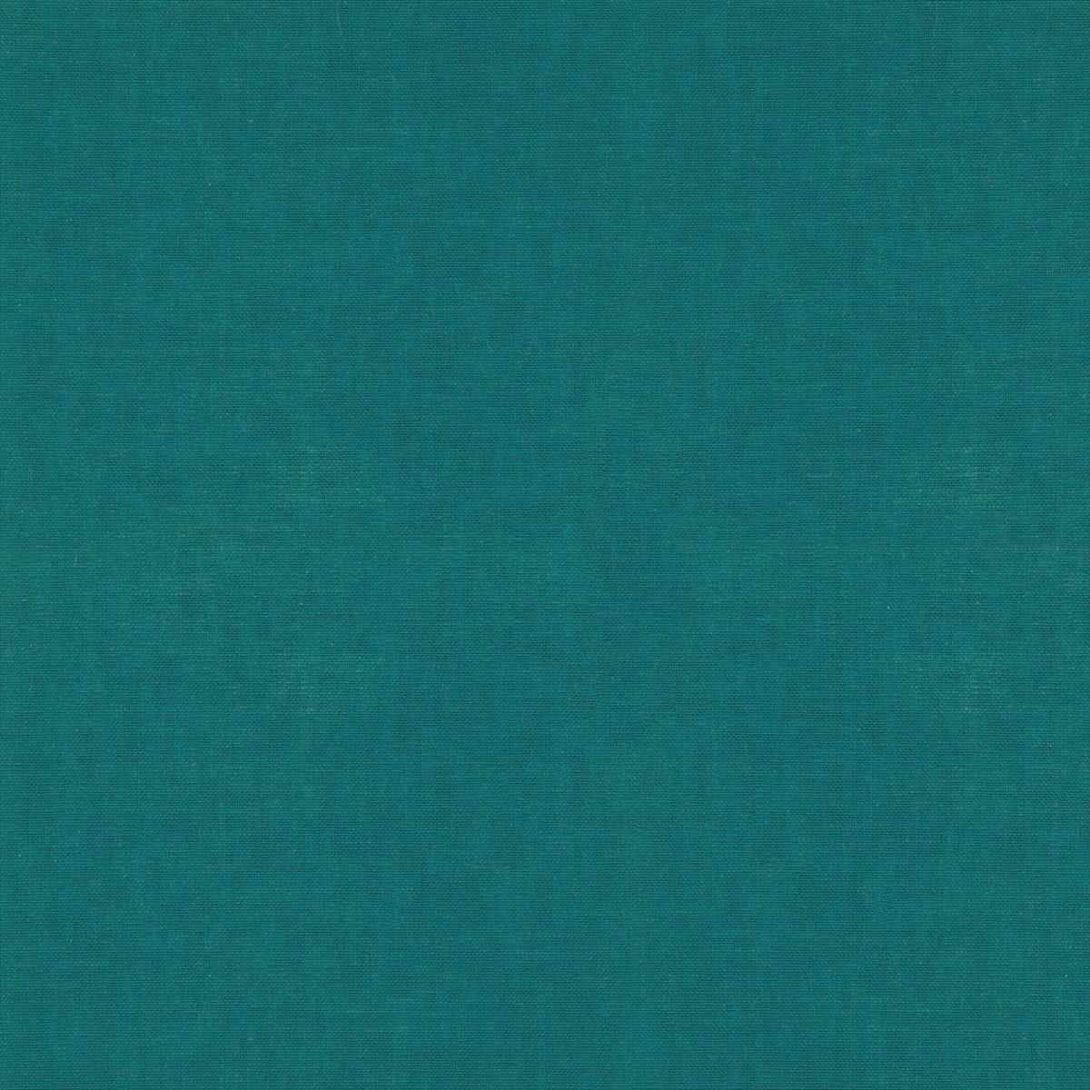 Arizona 252 25 13