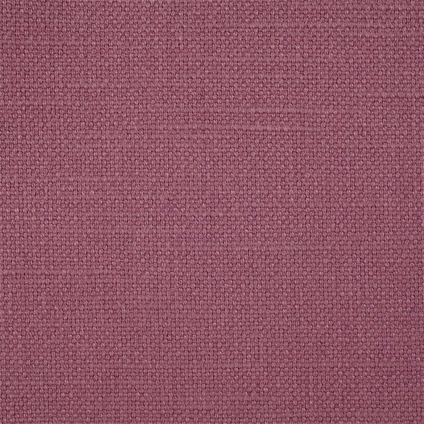 Arley 245815