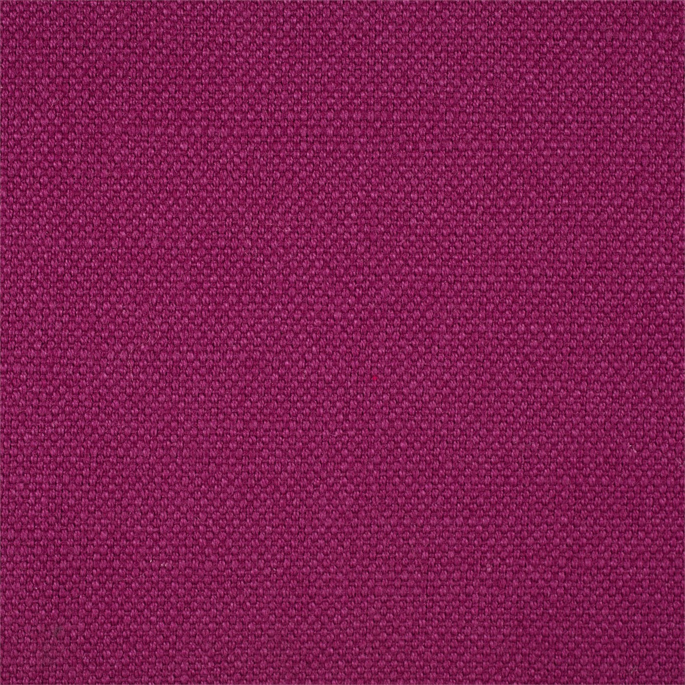 Arley 245816
